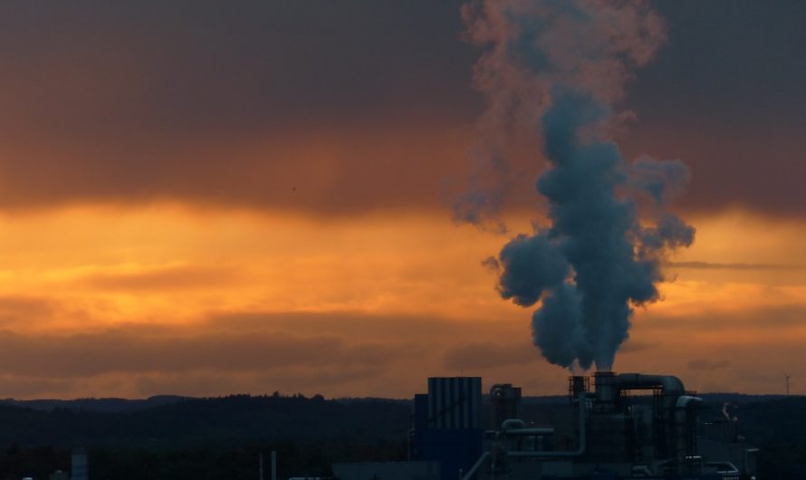 Czyste powietrze – wyjdzie nam wszystkim na dobre